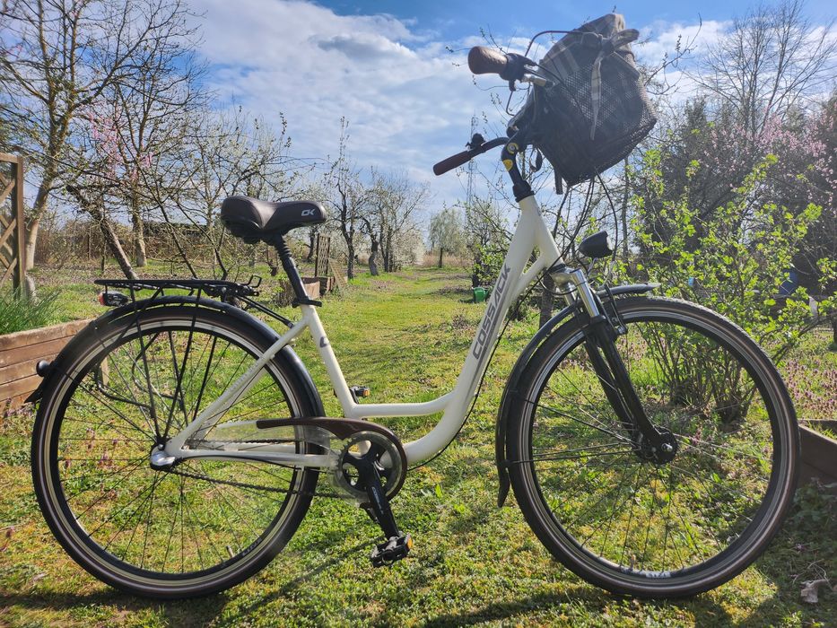 Rower piękna holenderka COSSACK 38