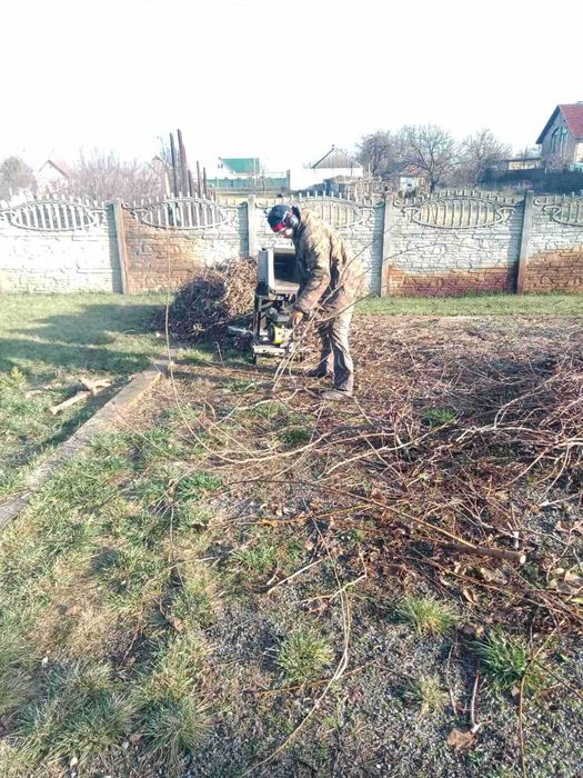 Обрезка аварийных веток. Дробление веток. Спил деревьев, пней.