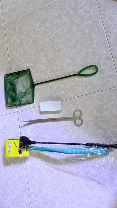 Aquário 40L plantado, material premium + acessórios (2 Neritinas)