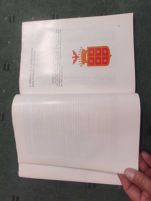 Avintes Na margem esquerda do Douro - Ana Filomena Leite Amaral