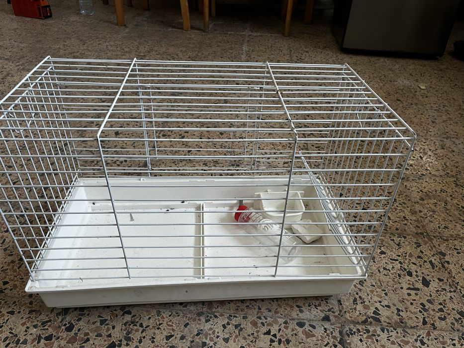 Gaiola animal roedores