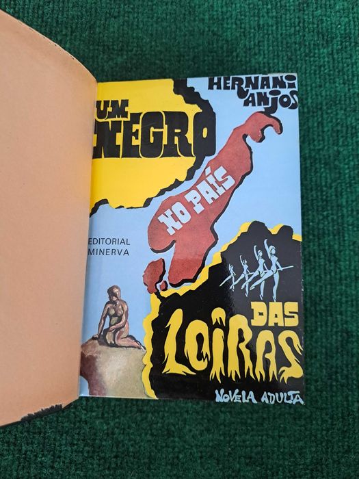 Um negro no pais das loiras - Hernâni Anjos