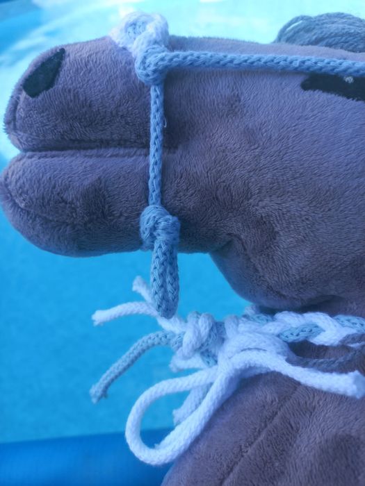 Box hobby horse+ niespodzianka