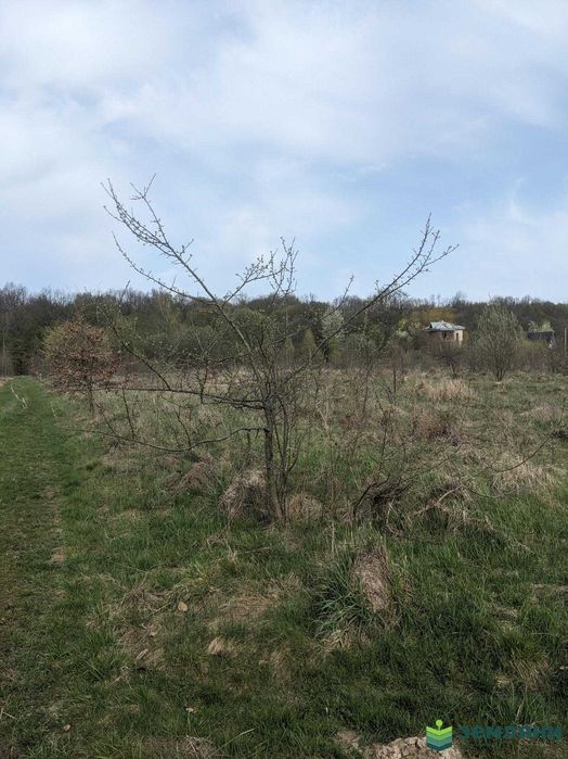 Продається земельна ділянка (1)