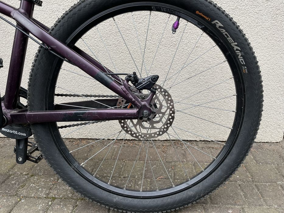 Dirt Kellys Whip 10
