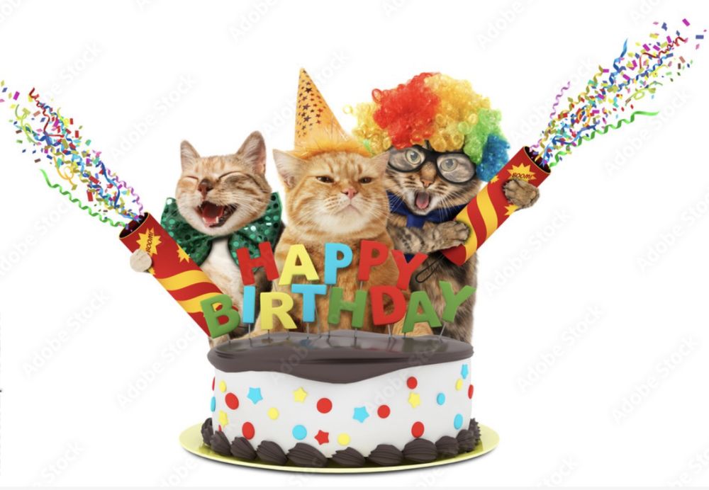 Bolos de aniversários para cães/gatos