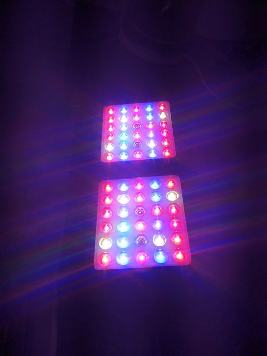 Lampa Niello M-300w Led grow zamiennik hps