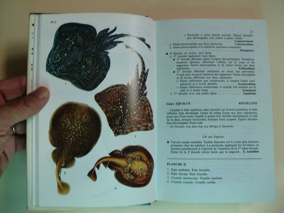 Guide des Poissons Marins d´Europe
de M.L. Bauchot - A. Pras