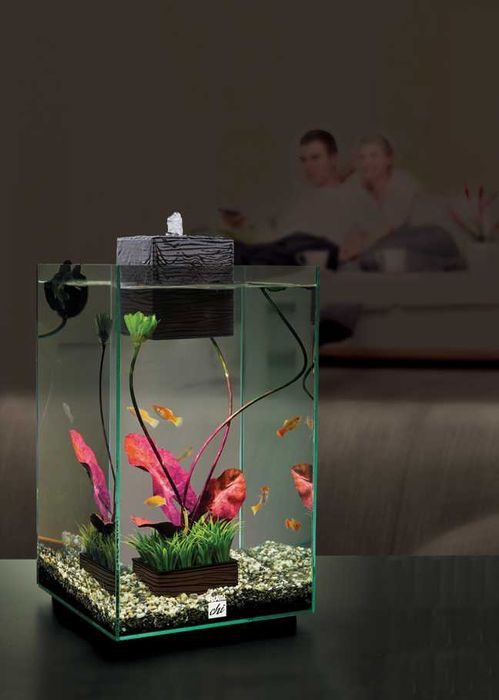 aquarium fluval chi аквариум флувал чи 24 л +прикалухи в комплекте. Мини аквариум с фильтром и светом бу дизайн дзен, декорации грот туф рыбк