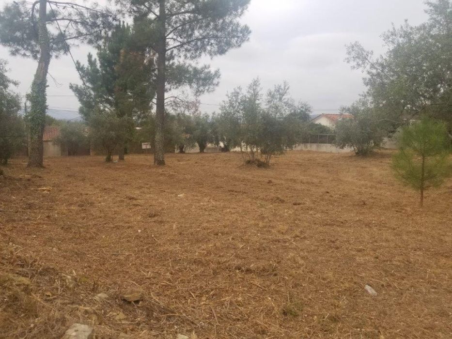 Terreno Urbano para construção 1577m2 Coimbra - VNP Pinheiro