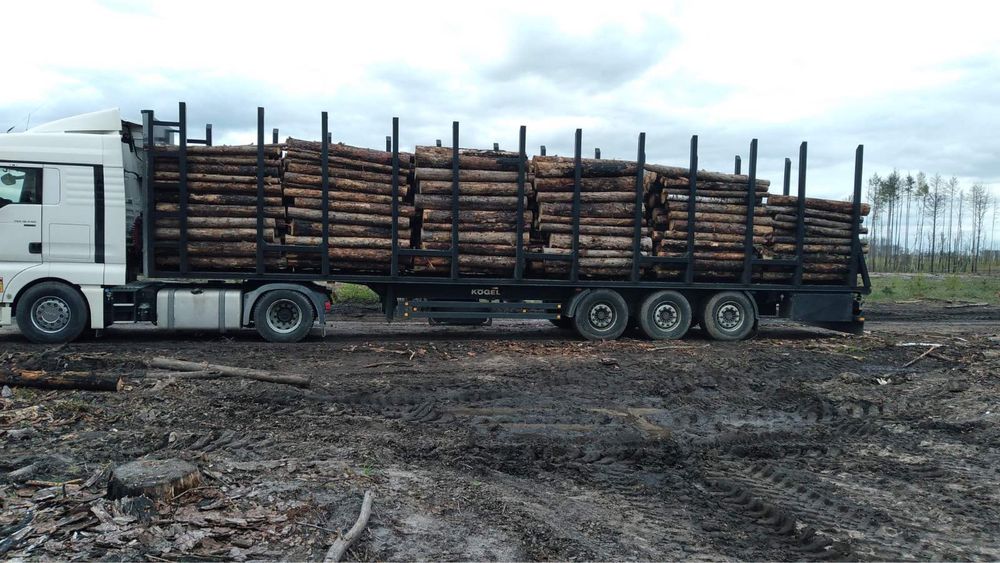 Послуги лісовоза-сортиментовоза
