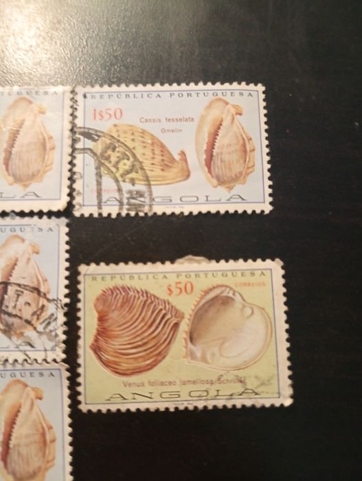 8 selos - Conchas de Angola 1974 - Carimbados. Em excelente estado