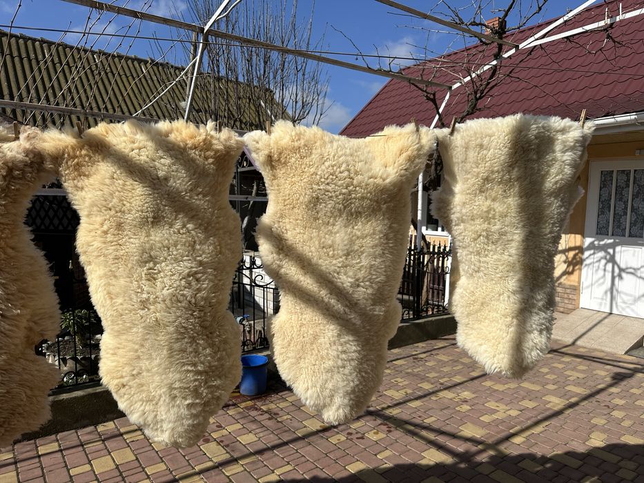 Овечі шкурки натуральні