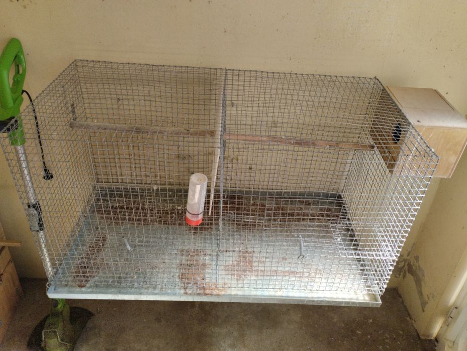 Gaiolas em segunda mão