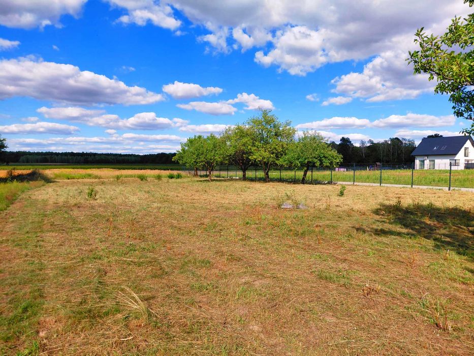Działka budowlana 3800 m² z MPZP Zaborze, okolice Nałęczowa, Kazimierza - Widok 3