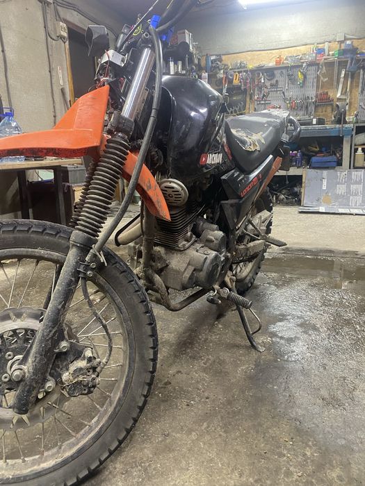 Продам Лонсин прус 200