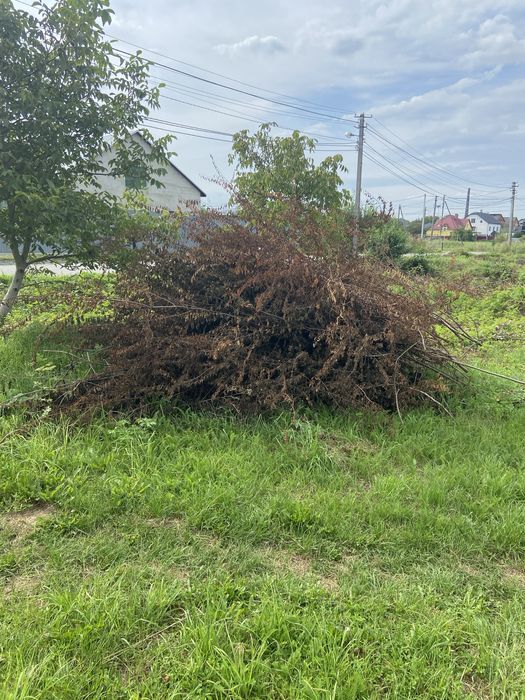 Оренда Подрібнювача Гілок до 80мм