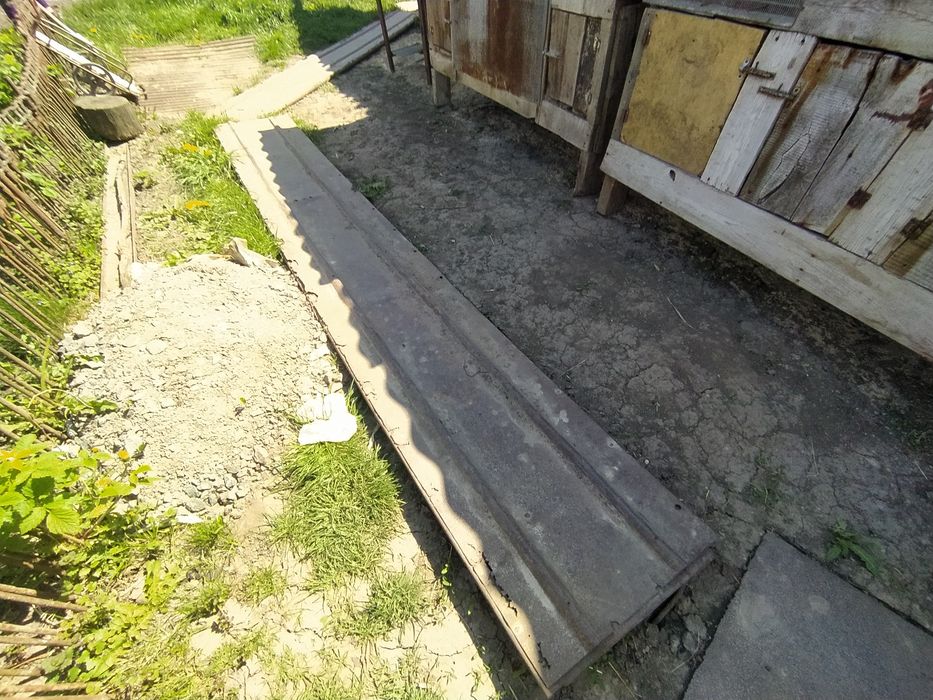 Кролі  поштучно 200 грн