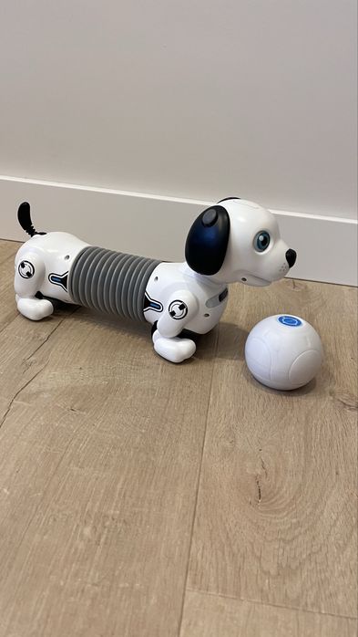 Robo Dackel Junior