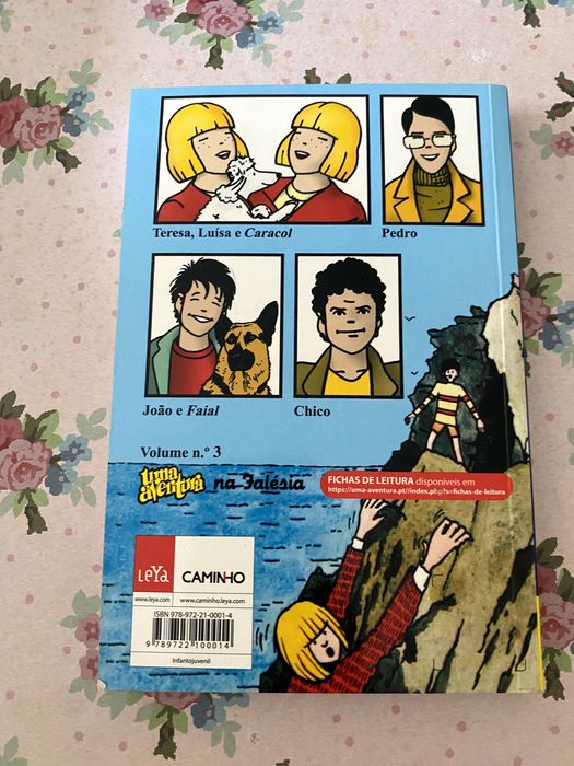 Uma Aventura nas Férias de Natal - PORTES ÍNCLUIDOS - Livro 2
