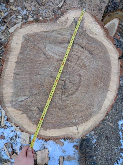 Sprzedam.plastery,dębowe 10 sztuk