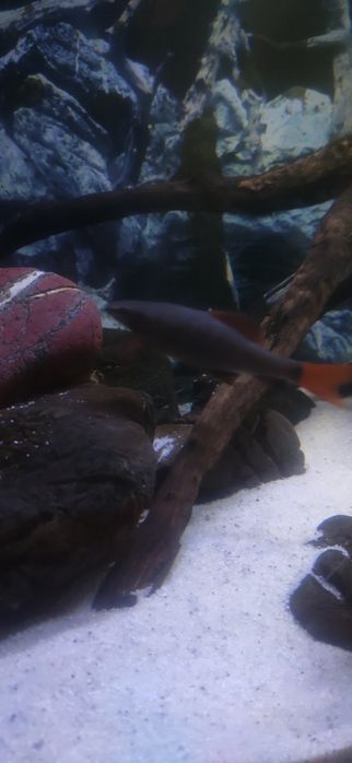 Продам аквариум на 240 л, полный комплект