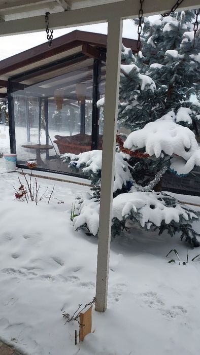 Здам будиночок біля озера в селі Погреби