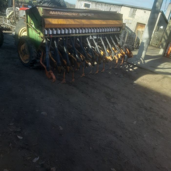 wyka jara facelia mieszanka gorzowska