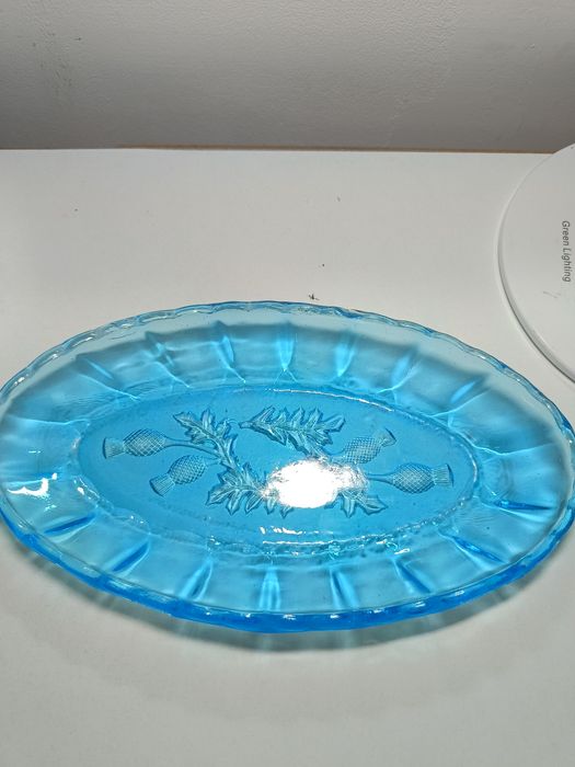 Śledziówka osty niebieska