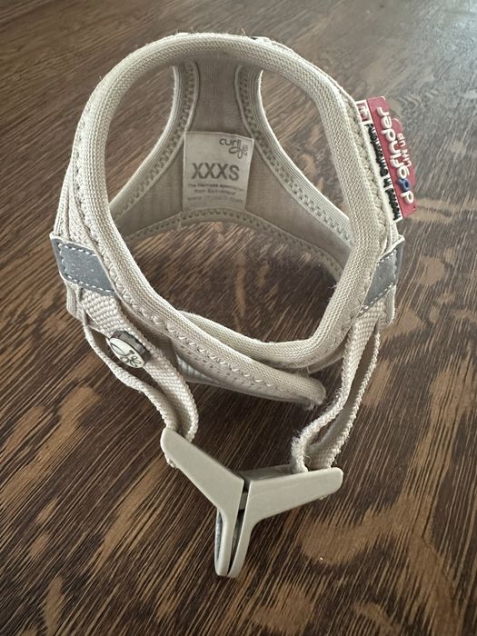 Szelki Curli Chihuahua