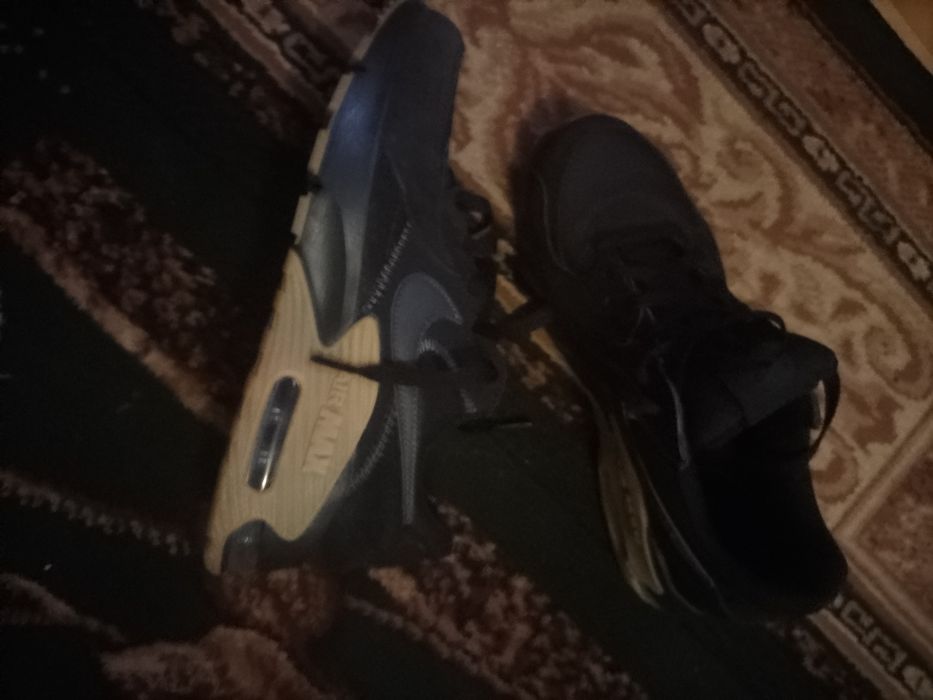 Кросівки Nike Air Max Excee