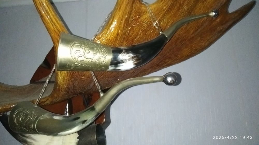 Чаша изобилия из рога