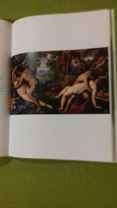 Transalpinum Po obu stronach Alp Malarstwo w Europie