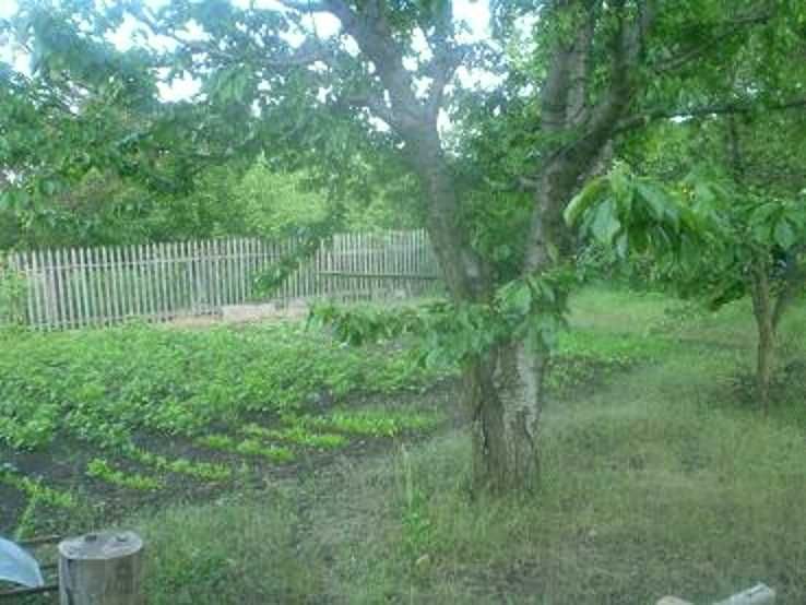 Продаю участок -дачу с. Барабой, кооператив "Альфа"