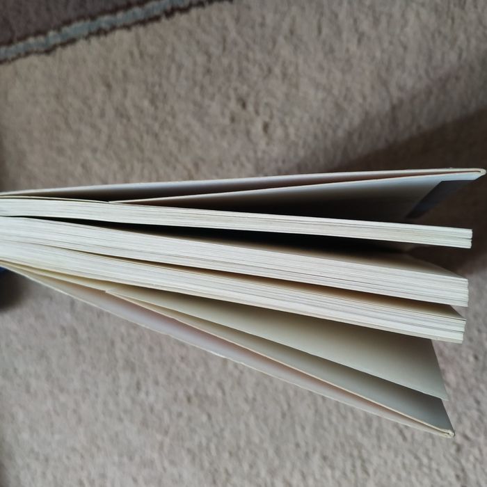 Livro Corrida Contra a Morte