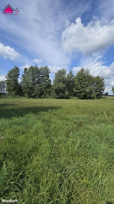 Malownicza działka 1430m² przy stawie, Tręby Stare - Widok 3