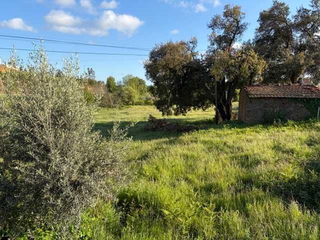 Terreno em rua do Casal do Porto, 139, Vila Facaia, Pedrogão Grande 2.897 m²