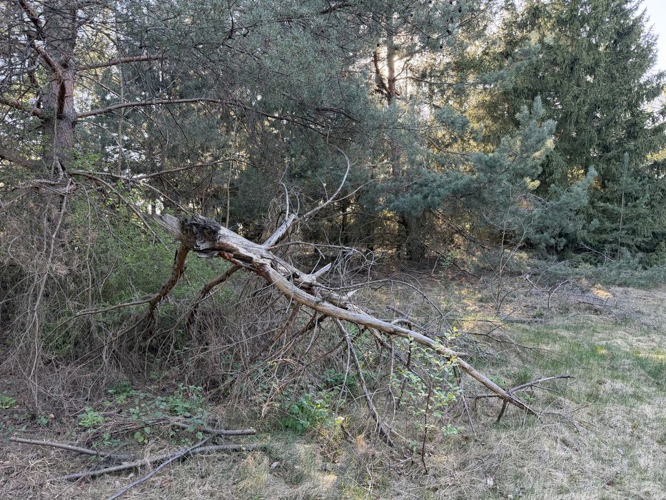Działka rekreacyjna 914 m² z bezpośrednim dostępem do rzeki Rządzy – Załubice Nowe, okolice Zalewu Zegrzyńskiego - Widok 2