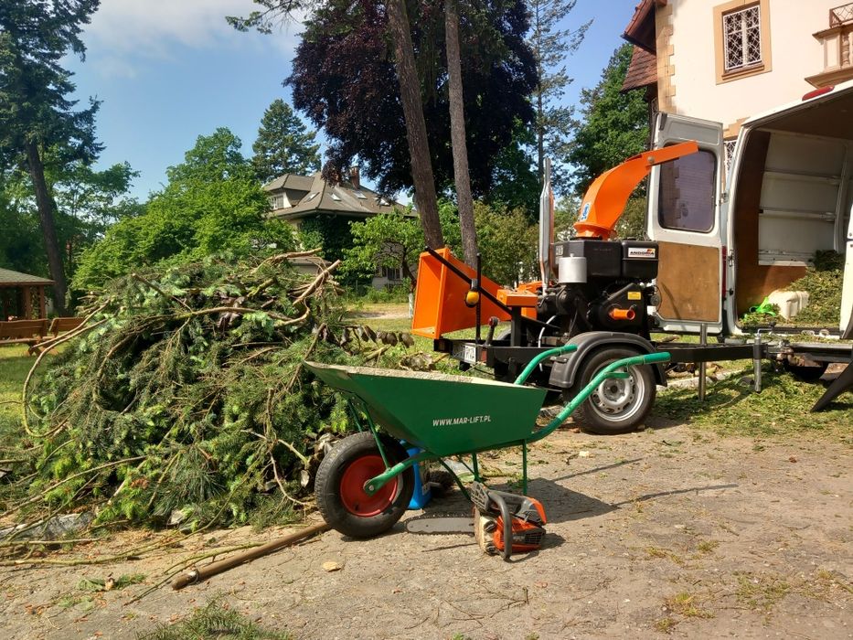 Rębak spalinowy/rozdrabnianie gałęzi/czyszczenie działek