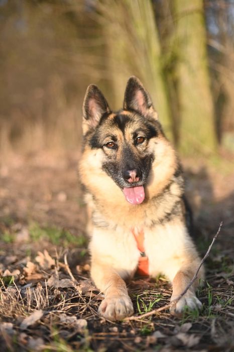 Przepiękna Kloe szuka wymarzonego domu