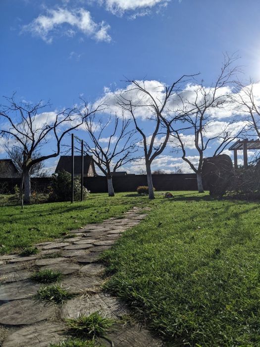 Обрізка дерев, плодових та ягідних насаджень - Чернігів і область