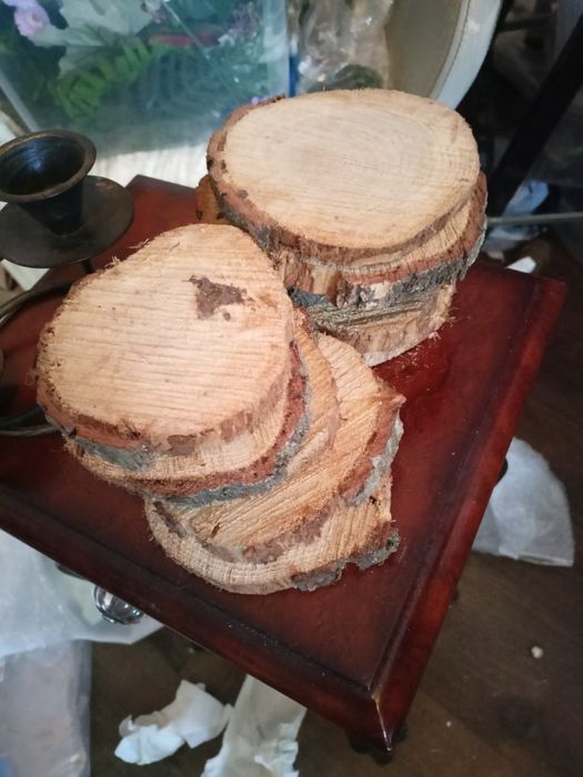 Plastry drewna patera drewniana podstawka z drewnia ozdoba naturalna