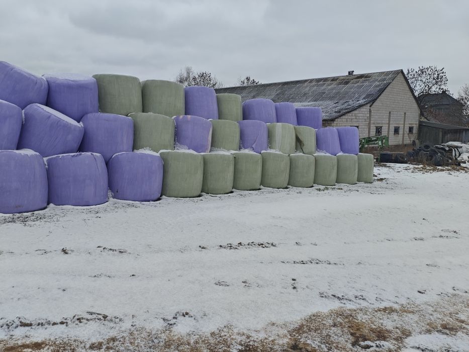 Bele sianokiszonka 125/125