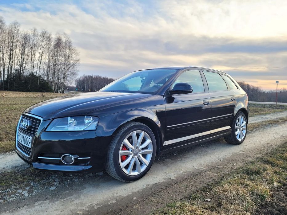 Audi A3 Sportback Audi A3 8P 2.0 TDI CR 140 KM Nietuzinkowy Stan  Polift