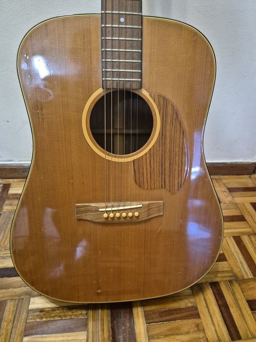 Viola yamaki/daion 1981