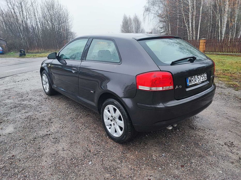 Audi A3 8P 2.0 TDI