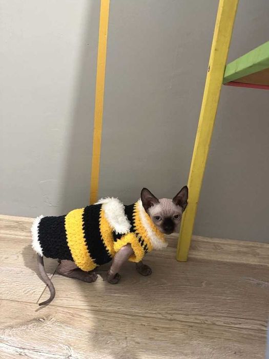 Меховая шубка, для котов, собак, котят, сфинксов. Одежда для кошек)