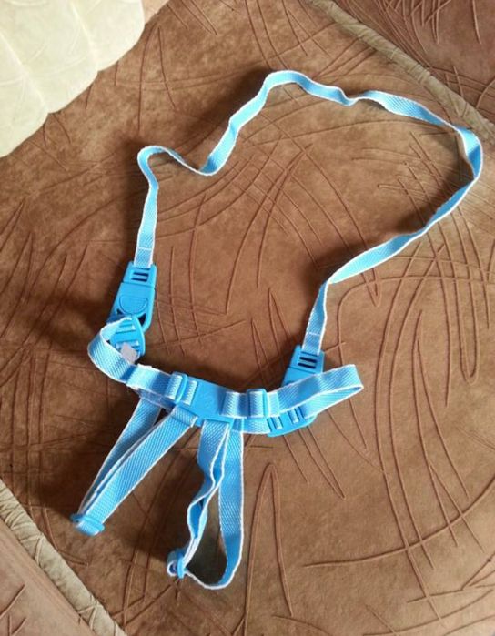 Шлея для собак блакитна
