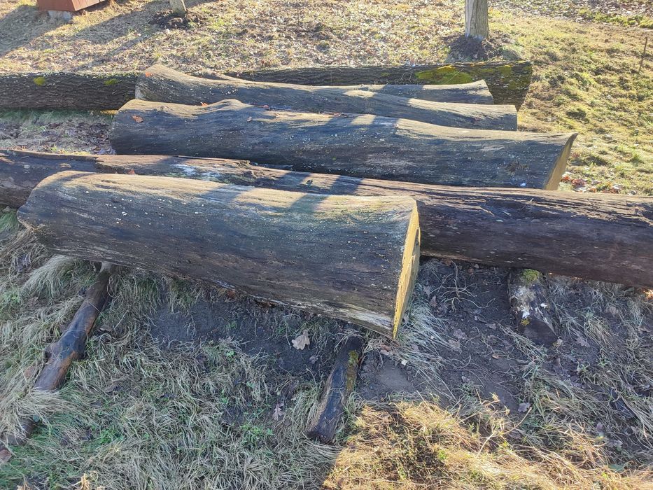 Кругляк дуба, пиломатеріали.