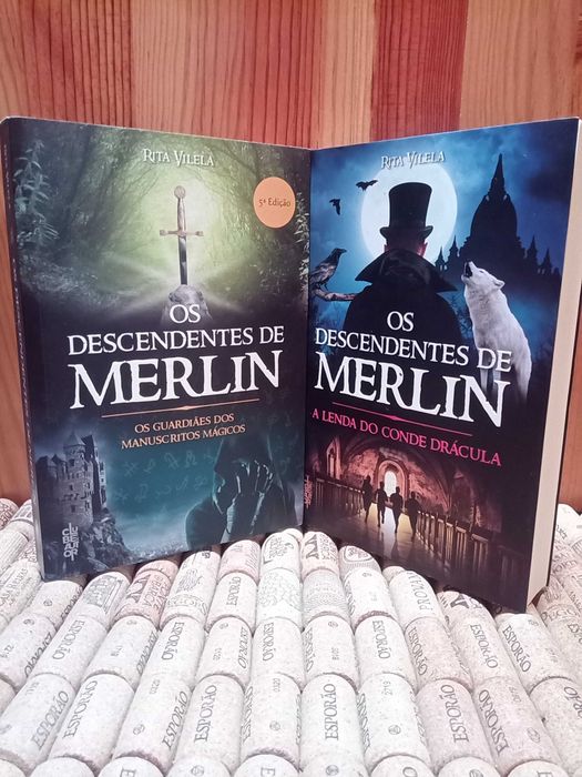 O Descendentes De Merlin - Rita Vilela